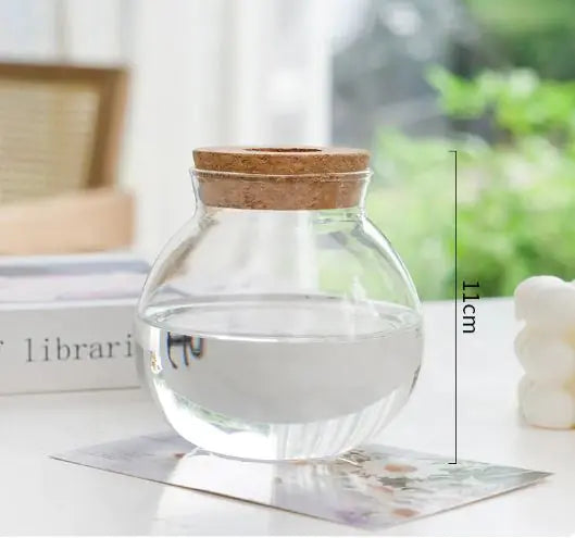 Cork-Top Glass Hydroponic Vases