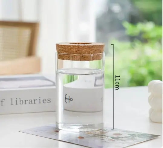 Cork-Top Glass Hydroponic Vases
