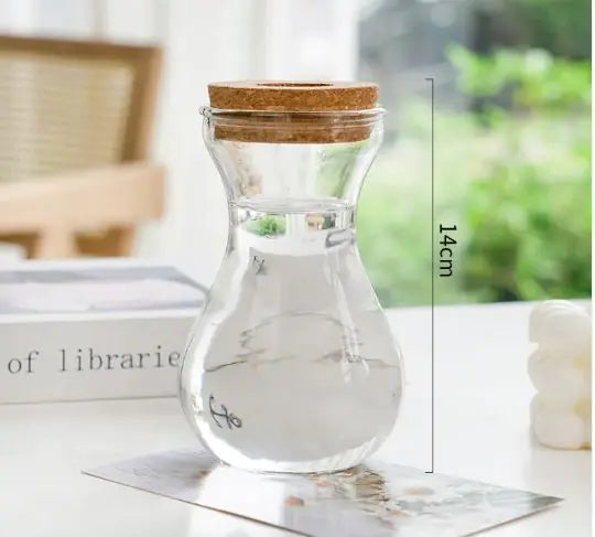 Cork-Top Glass Hydroponic Vases