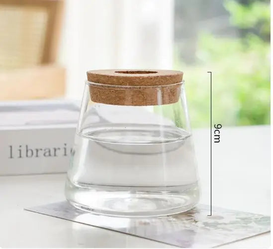 Cork-Top Glass Hydroponic Vases