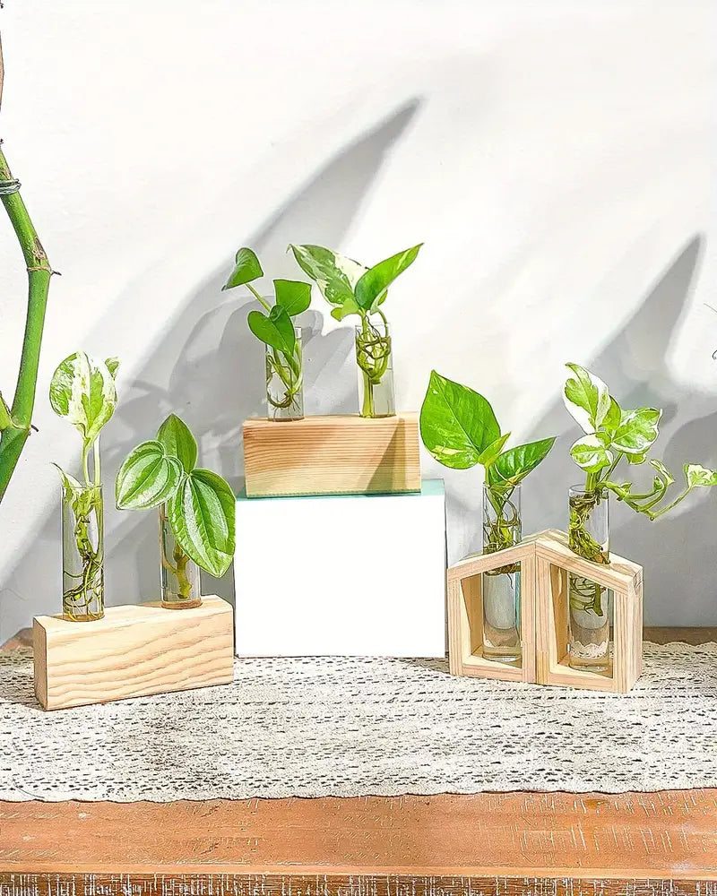 Plant Propagation Station
