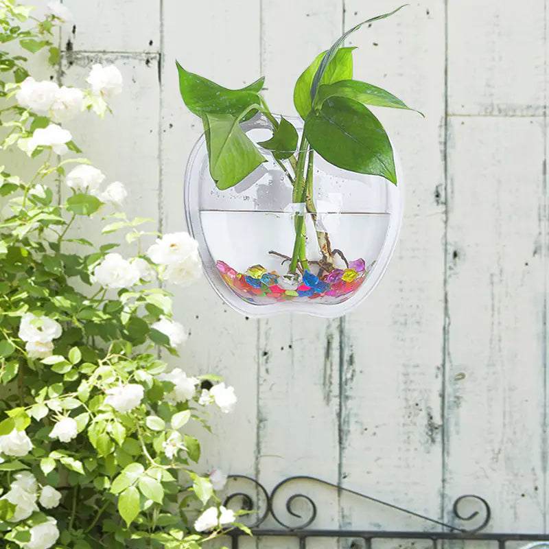 Wall Bowl Planter