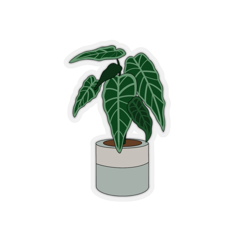 Plant Stickies