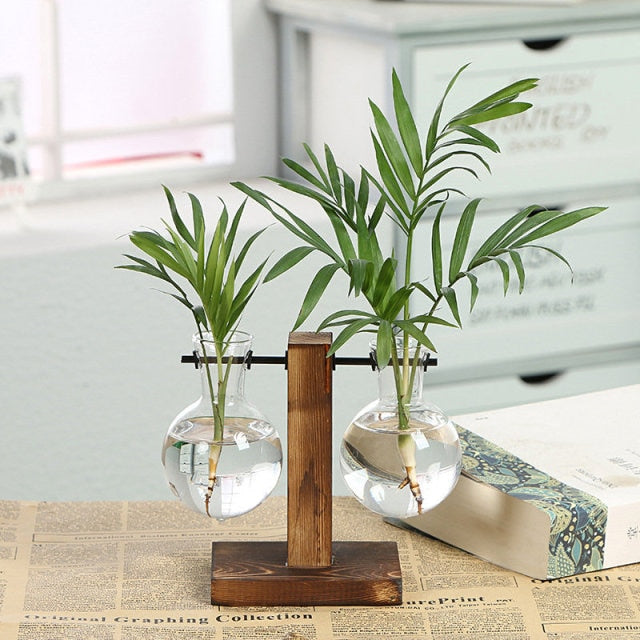 Planter Propagation Station