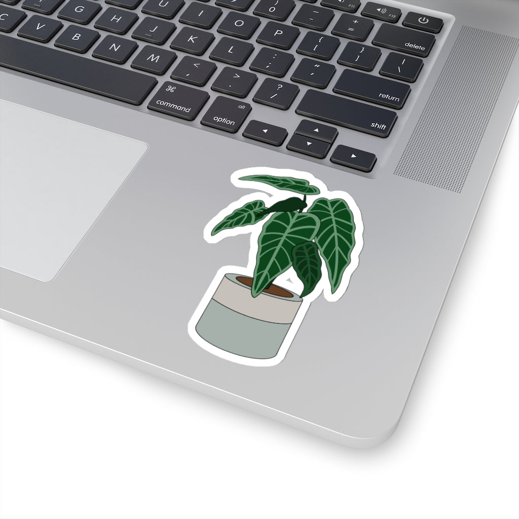 Plant Stickies