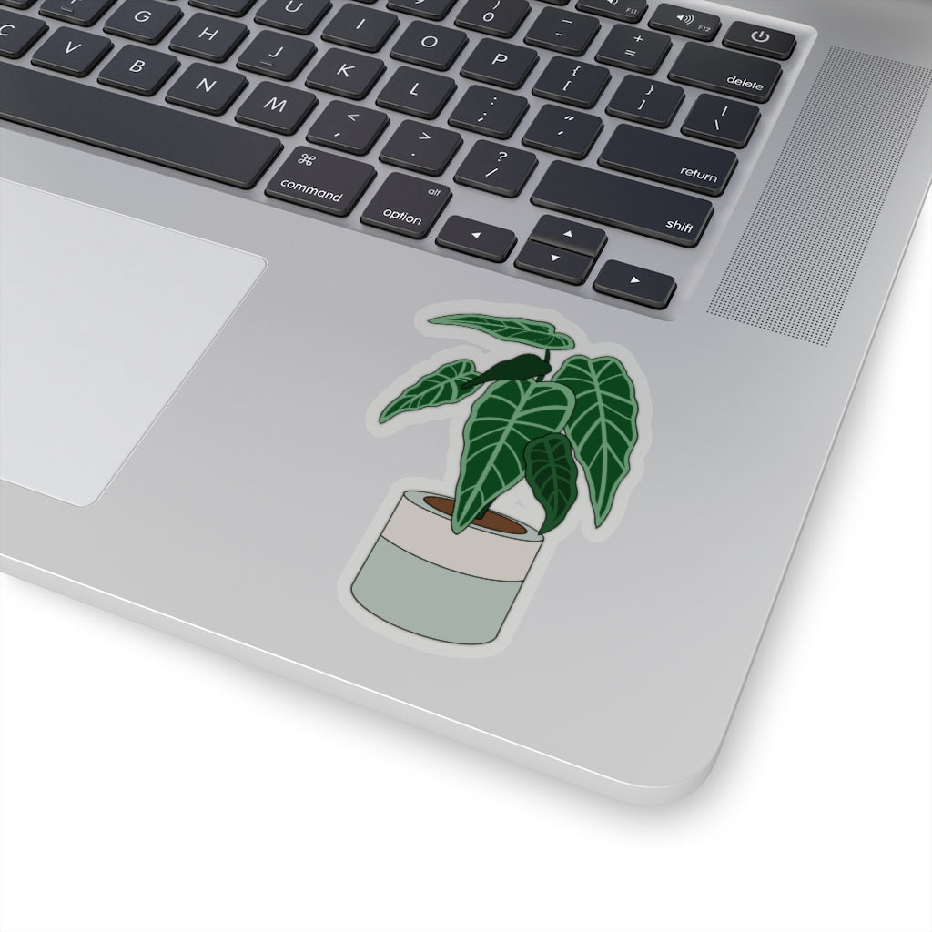 Plant Stickies