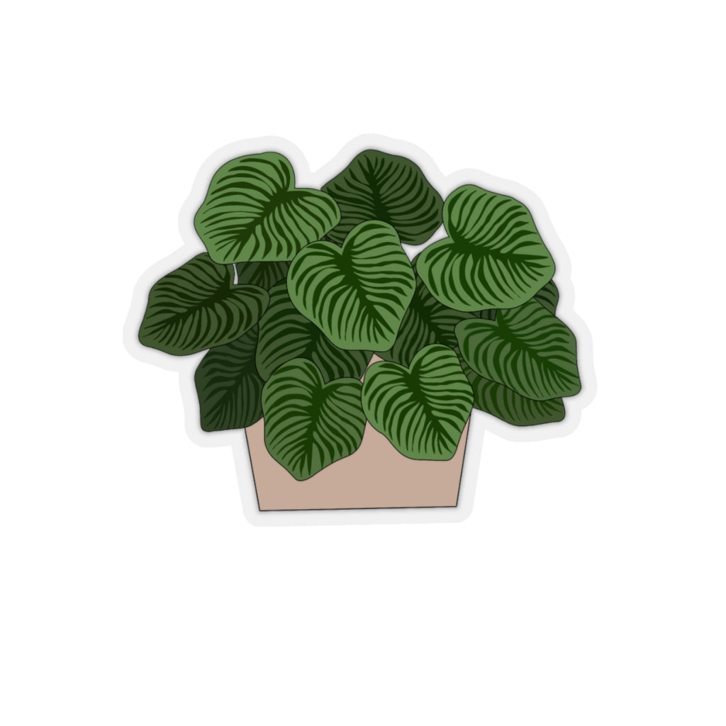 Plant Stickies