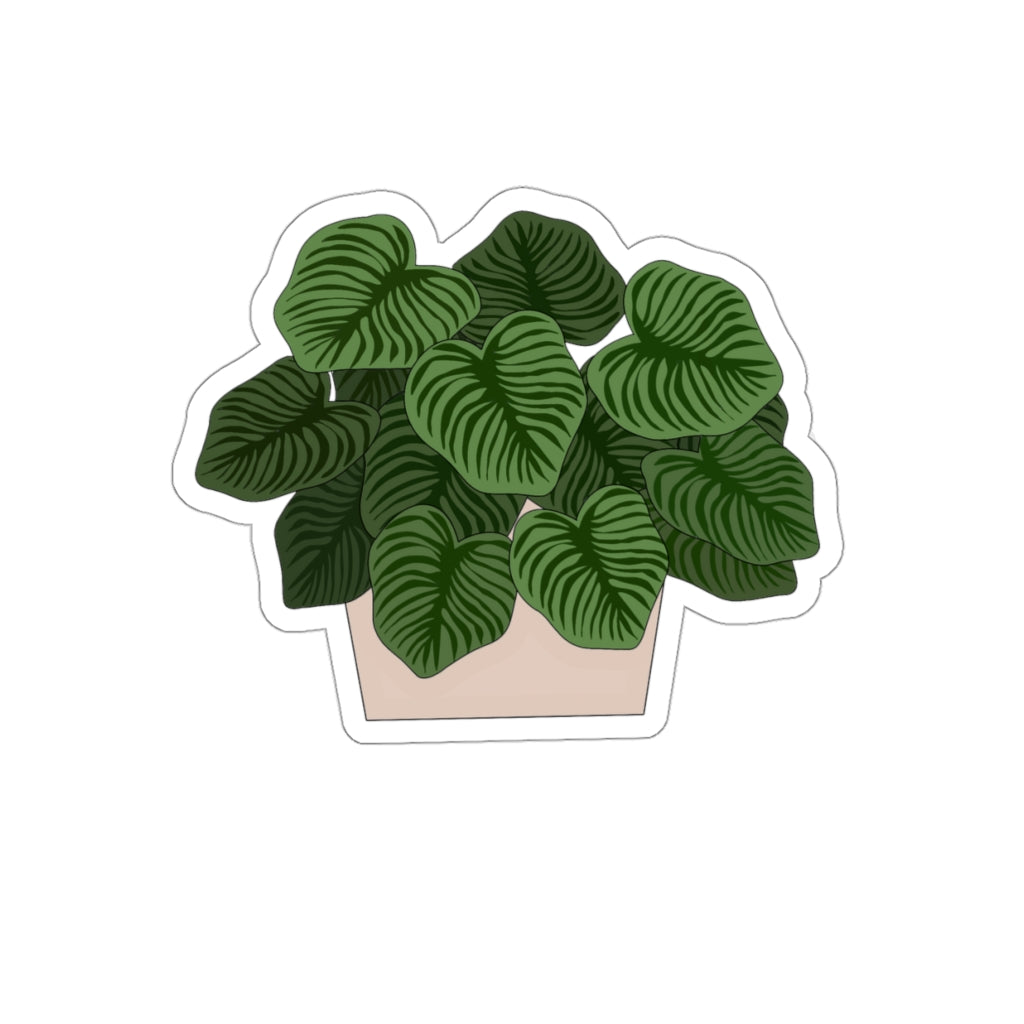 Plant Stickies