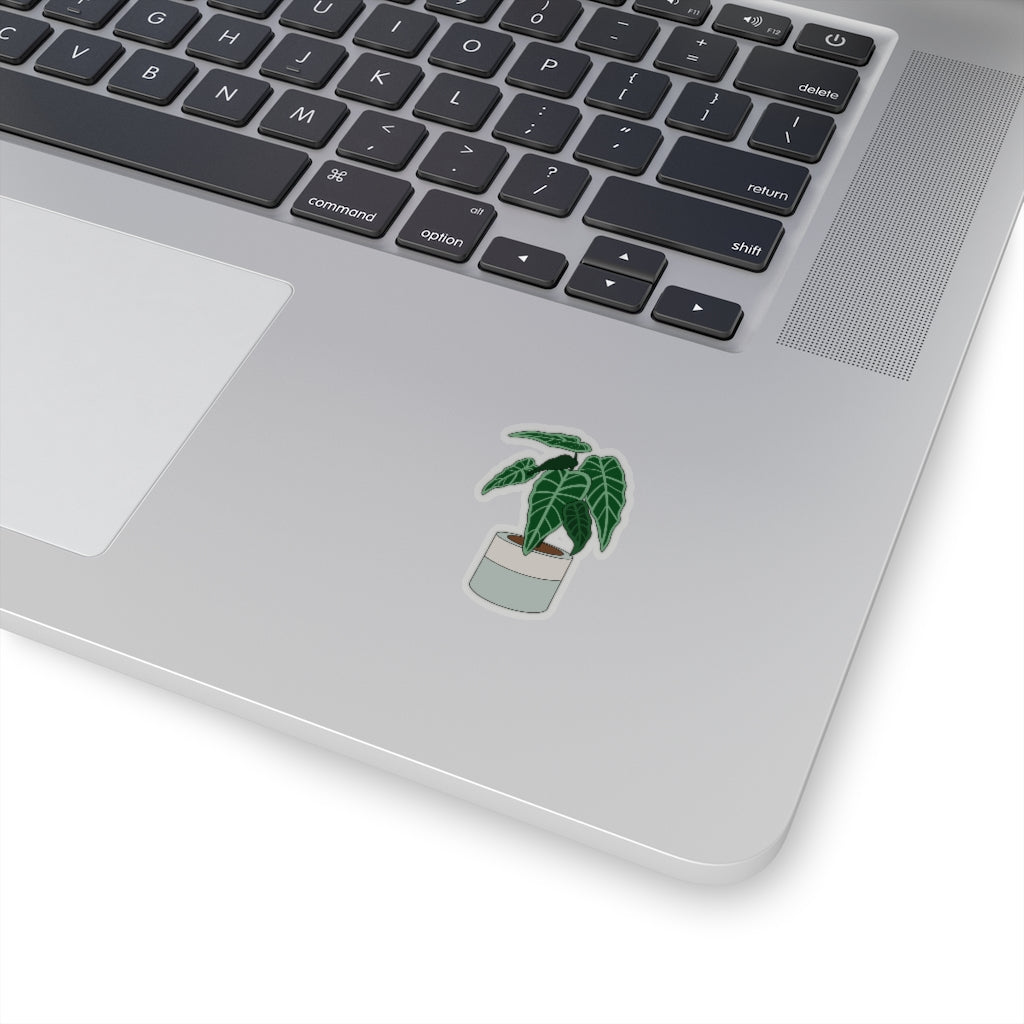 Plant Stickies