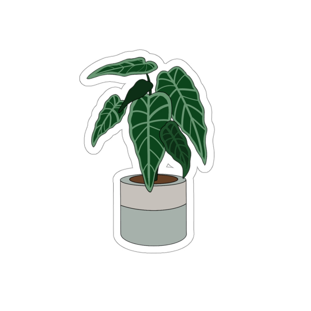 Plant Stickies