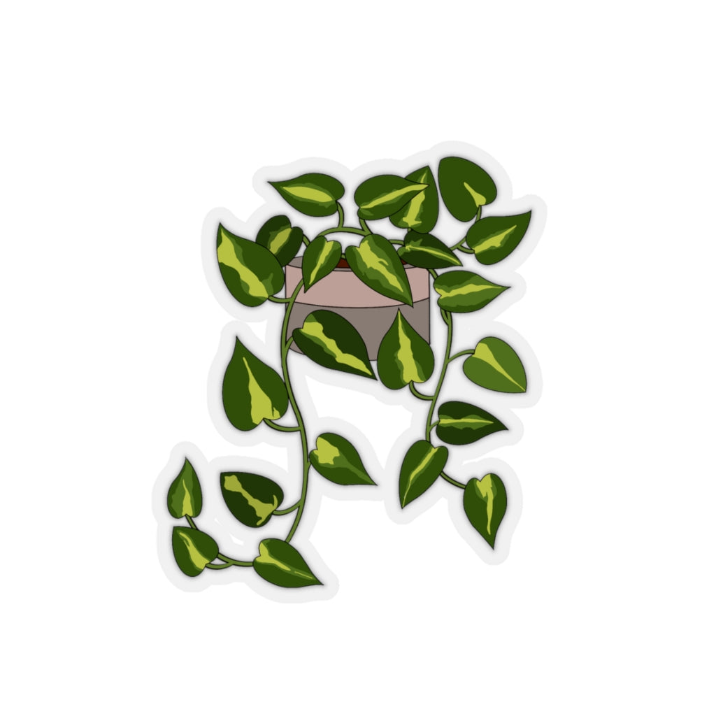 Plant Stickies