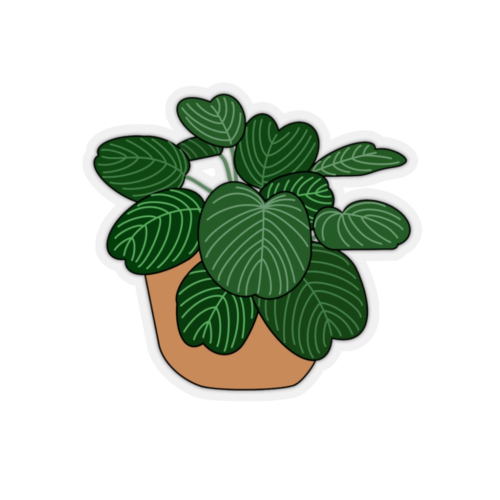 Plant Stickies