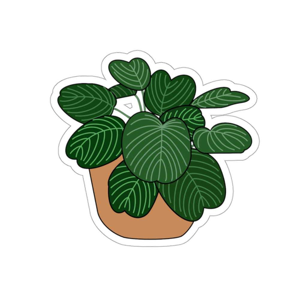 Plant Stickies