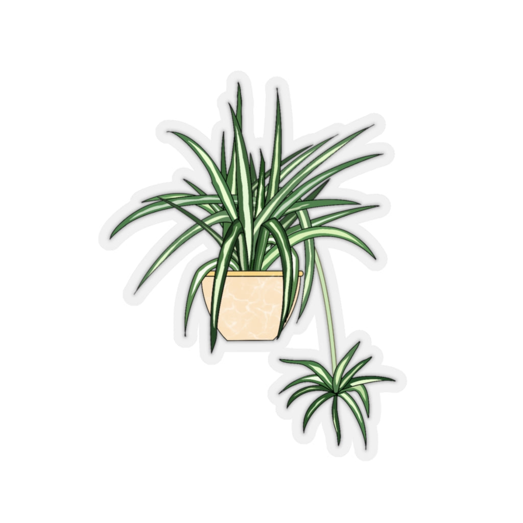 Plant Stickies