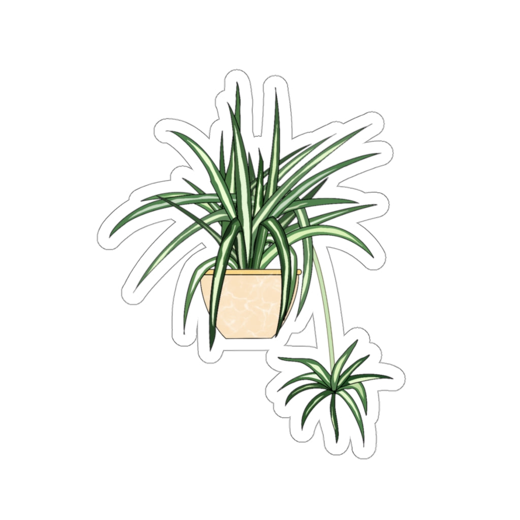 Plant Stickies