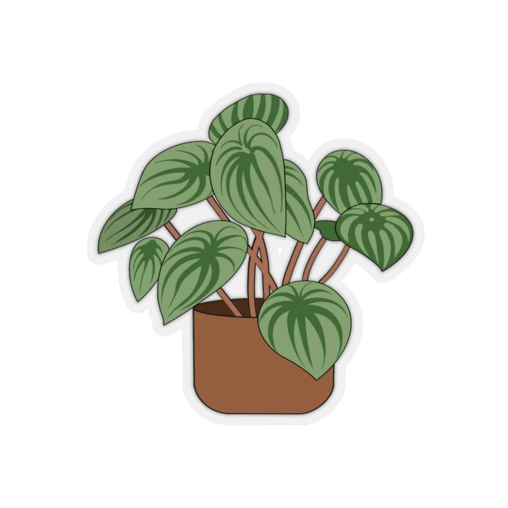 Plant Stickies