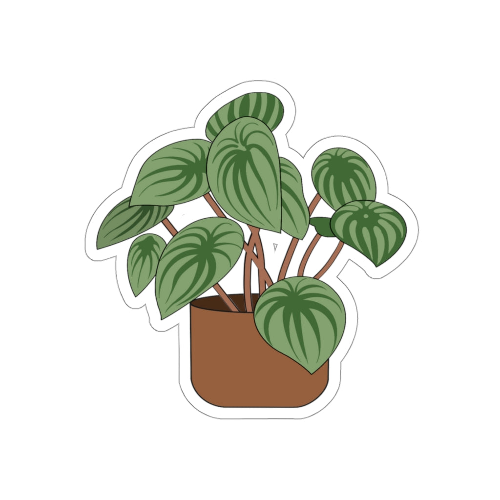 Plant Stickies
