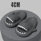 Shark Cartoon Slippers