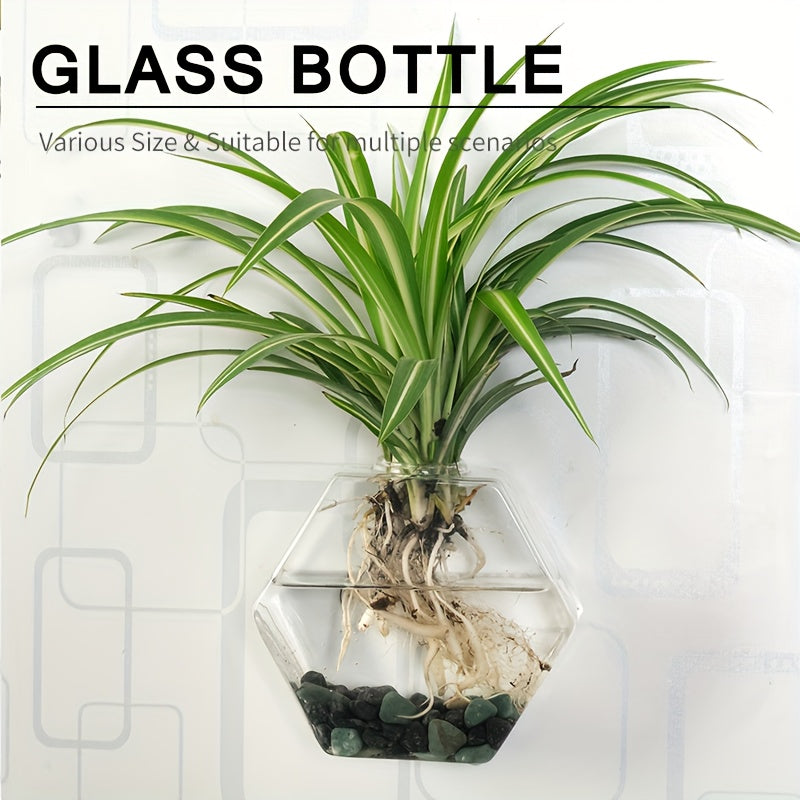 Geometric Hydroponic Glass Planter