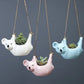 Hanging Koala Ceramic Planter