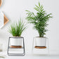 Geometric Ceramic Planter Set with Bamboo Stand and Iron Frame