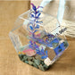 Geometric Hydroponic Glass Planter