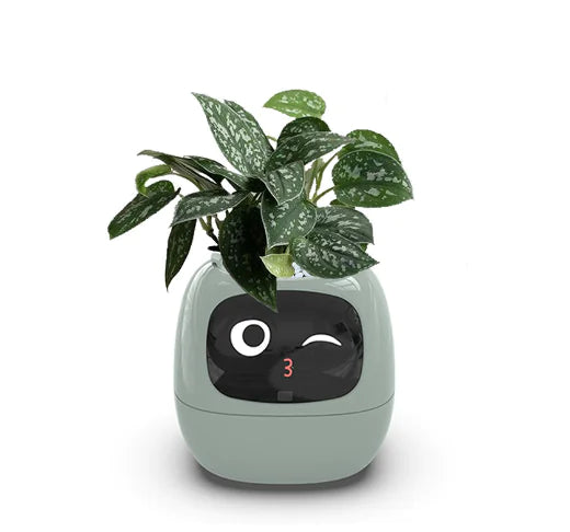 Plant Buddy - Smart Planter