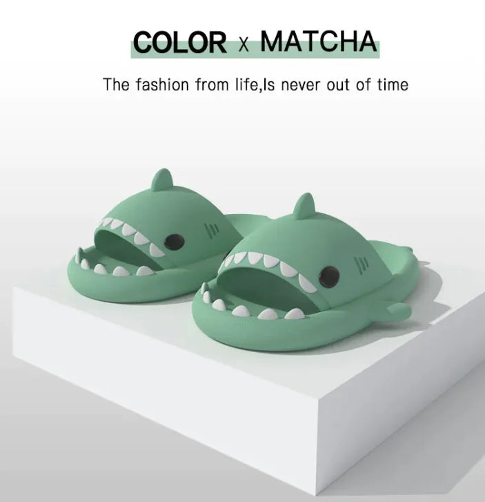 Shark Cartoon Slippers