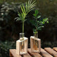 Plant Propagation Station