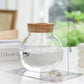 Cork-Top Glass Hydroponic Vases