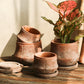 Vintage Red Terracotta Planter