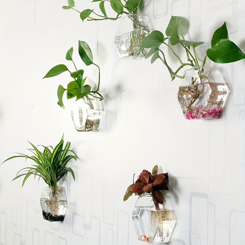 Geometric Hydroponic Glass Planter