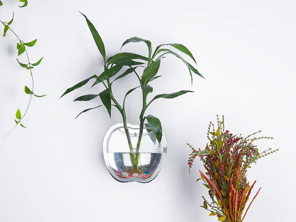 Wall Bowl Planter