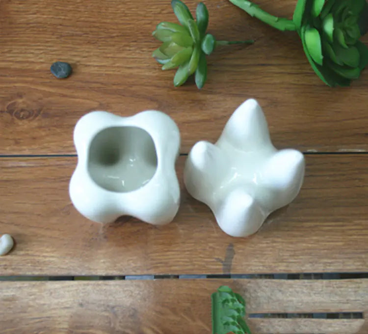 Tooth-Shaped Ceramic Planter Pot