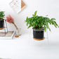 Geometric Ceramic Planter Set with Bamboo Stand and Iron Frame