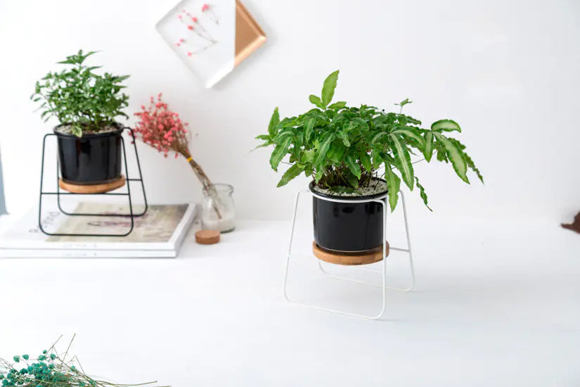 Geometric Ceramic Planter Set with Bamboo Stand and Iron Frame