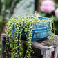Denim Pocket Planter
