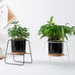 Geometric Ceramic Planter Set with Bamboo Stand and Iron Frame