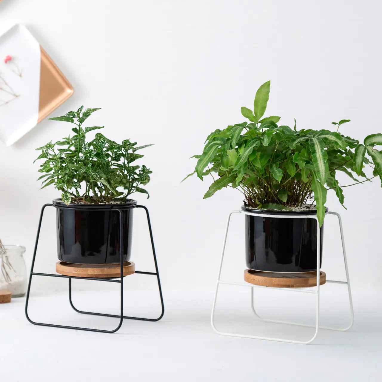 Geometric Ceramic Planter Set with Bamboo Stand and Iron Frame