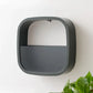 Bloom Wall Planter