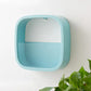 Bloom Wall Planter