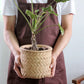 Retro Woven Bamboo-Style Cement Planter
