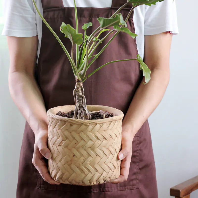 Retro Woven Bamboo-Style Cement Planter