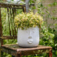 Handcrafted Ceramic Face Planter