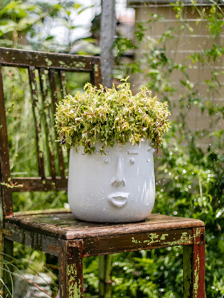 Handcrafted Ceramic Face Planter
