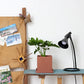 Square Cement Planter with Tray