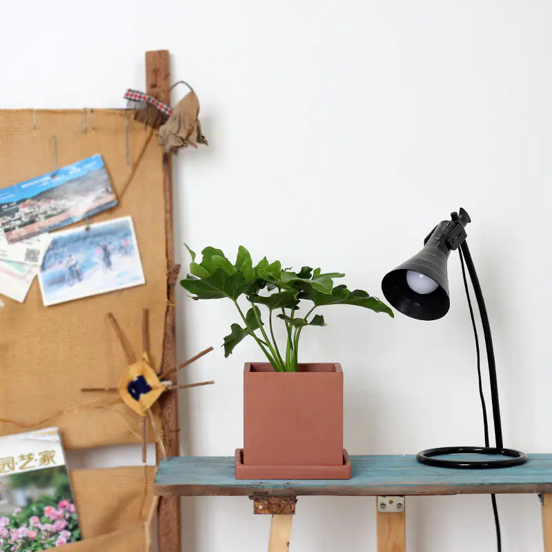 Square Cement Planter with Tray