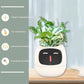 Plant Buddy - Smart Planter