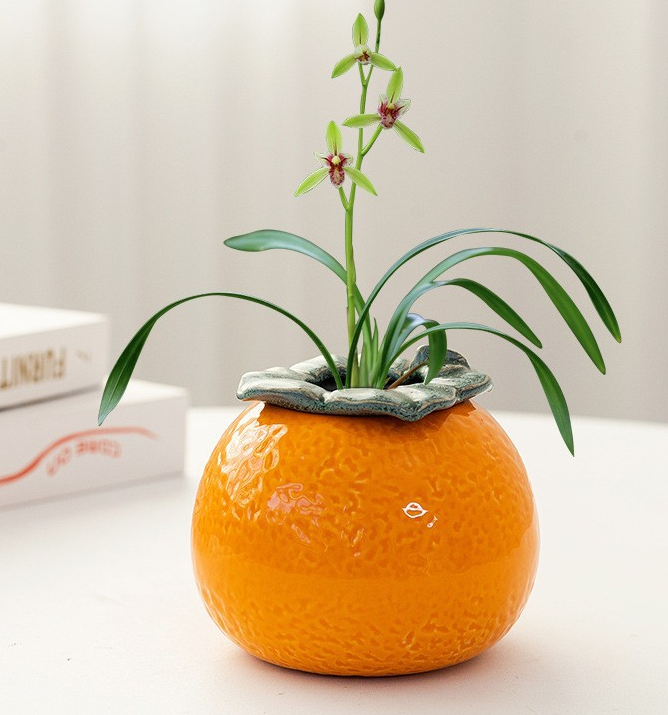 Citrus Hydroponic Vase
