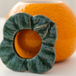 Citrus Hydroponic Vase